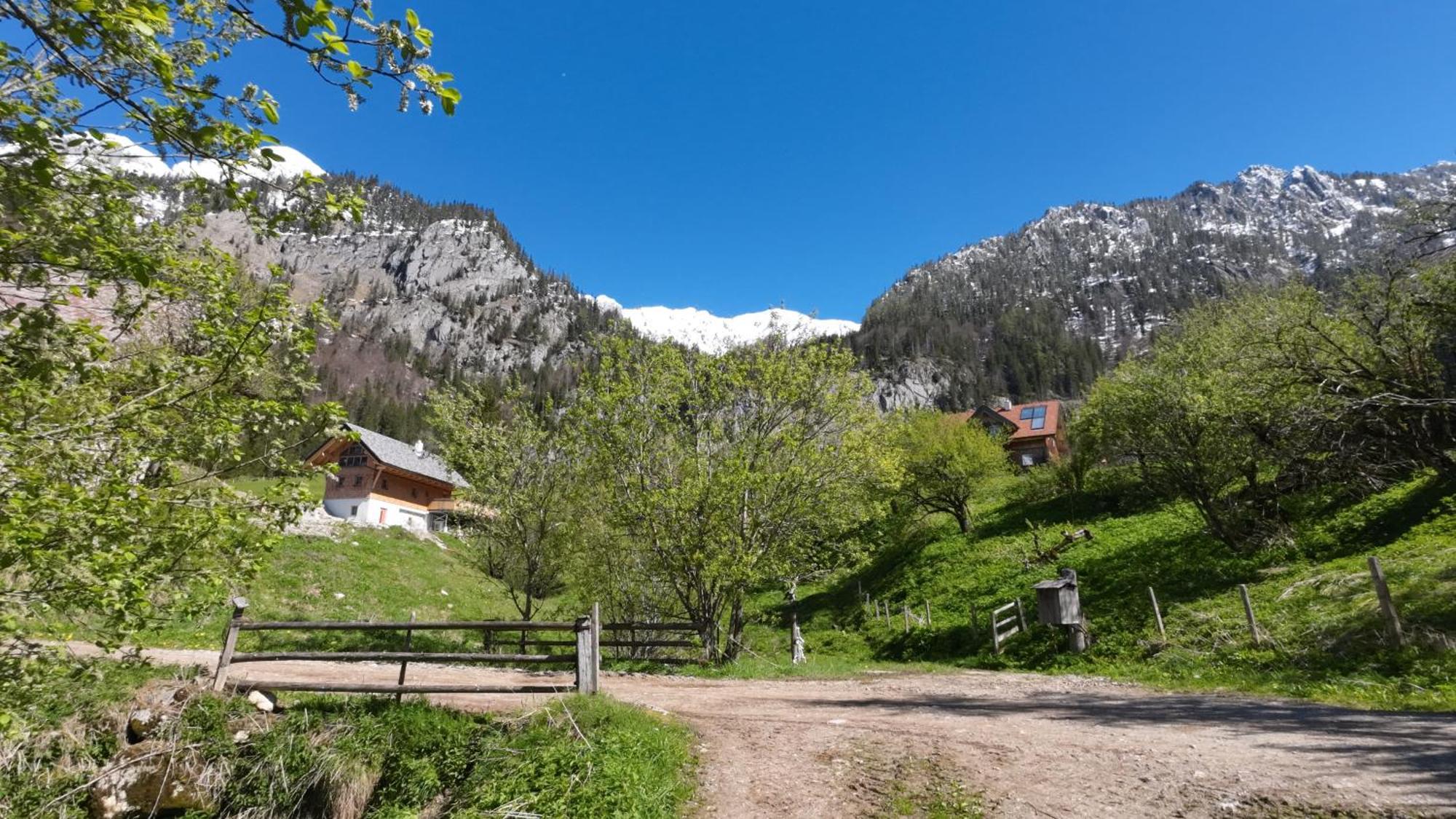 Haus 1683 - Wolfbauer Villa Johnsbach Exterior foto